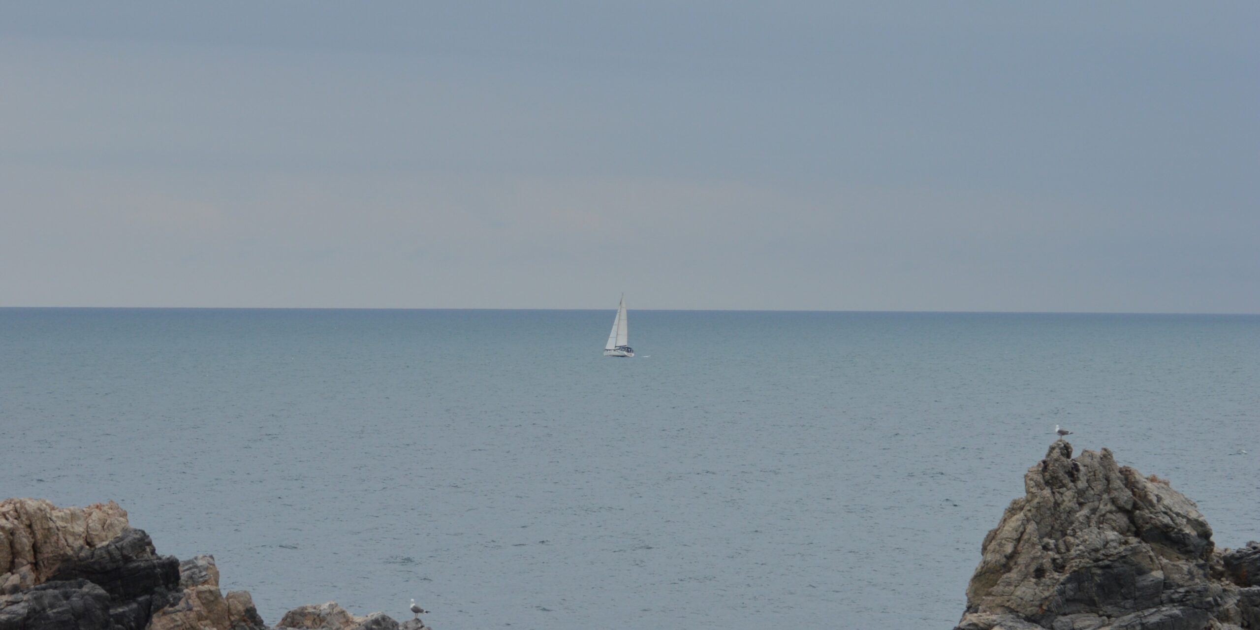 immagine decorariva. Fotografia raffigurante il mare; in lontananza si intravede una vela bianca